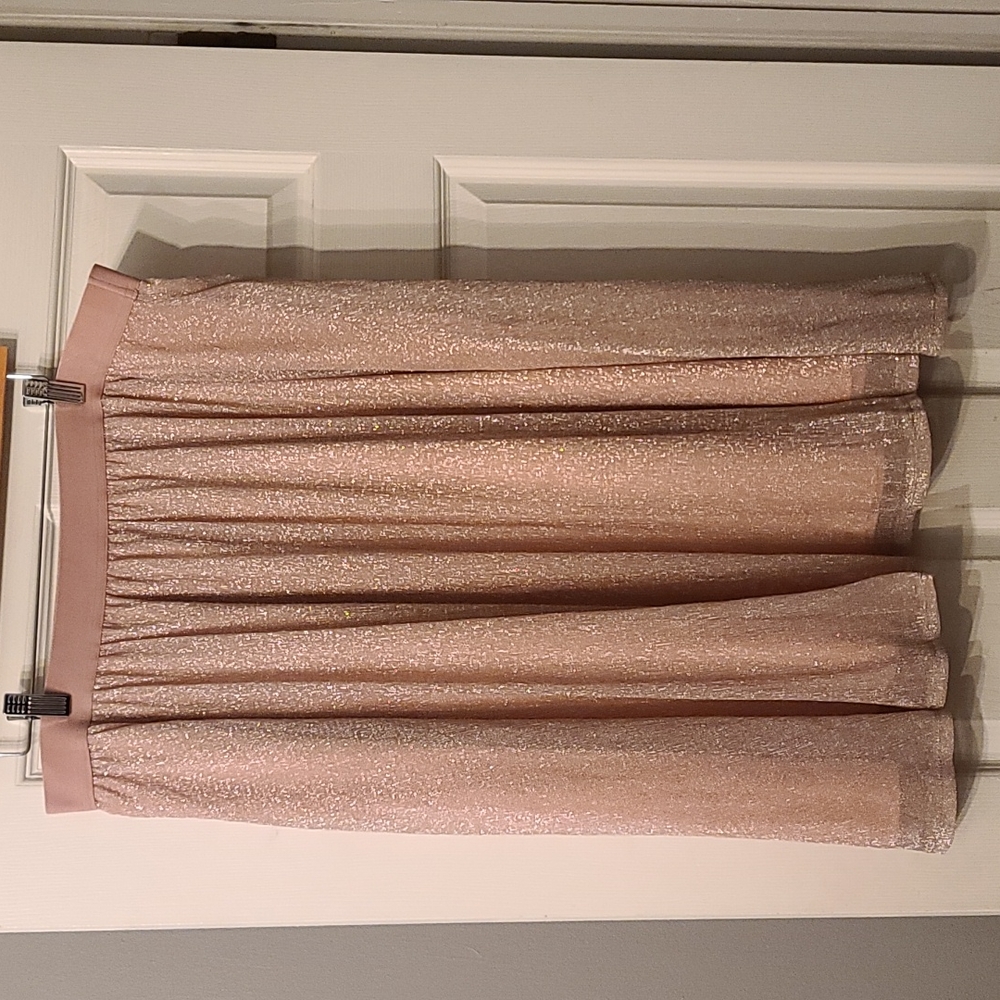 NWT NY&C Pink Sparkle Skirt XL
